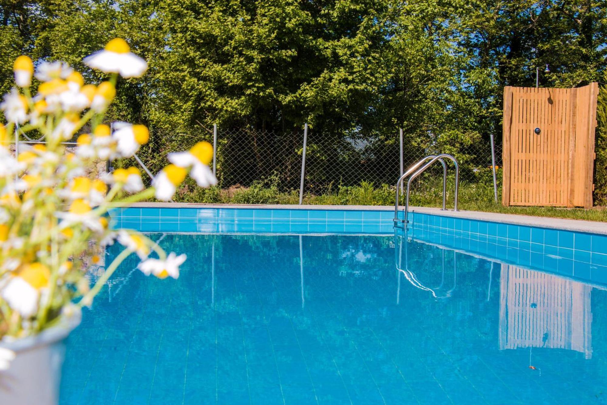 Aristotelia Gi Ikies - Olympiada Poolside Retreats Exterior foto